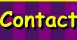 Contact Information